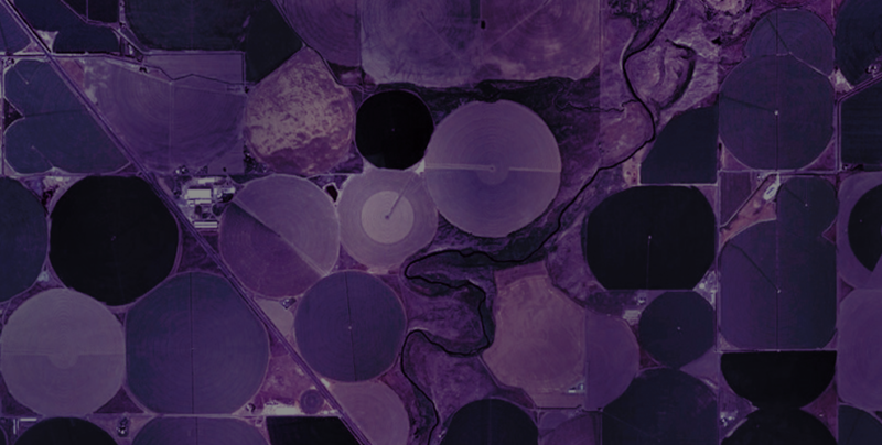 In Defense of Private Equity